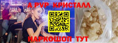 хмурый Кингисепп