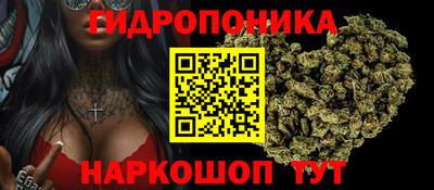 хмурый Кингисепп