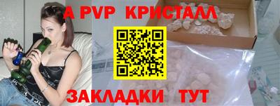 хмурый Кингисепп