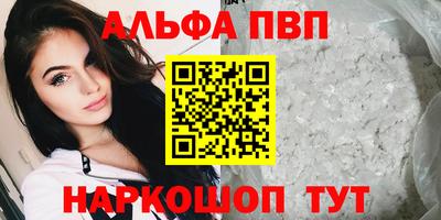 хмурый Кингисепп