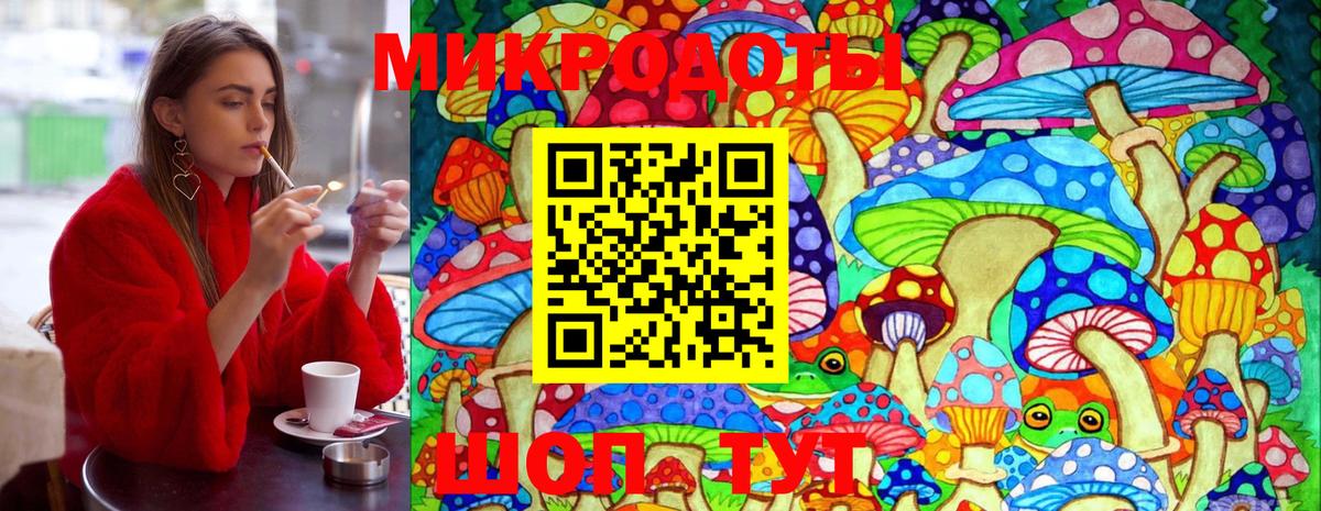 Псилоцибиновые грибы прущие грибы Курчатов