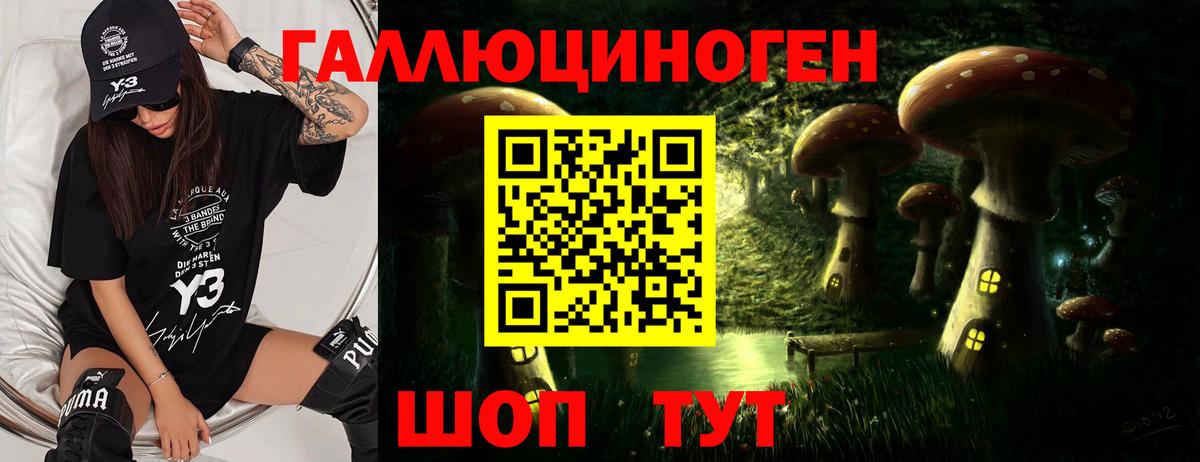 Курчатов  Галлюциногенные грибы ЛСД  Вход с VPN 